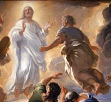 n. 26 del 1 marzo 2026