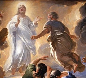 n. 26 del 1 marzo 2026