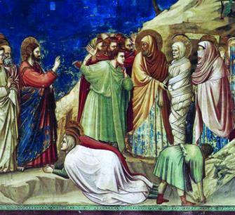 n. 29 del 22 Marzo 2026