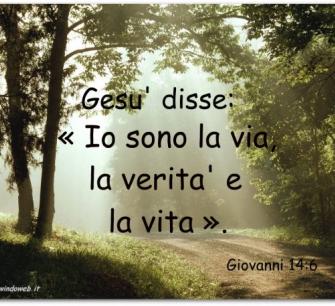 n. 36 del 07 maggio 2023