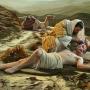 Sulla strada - video con commento al vangelo della domenica